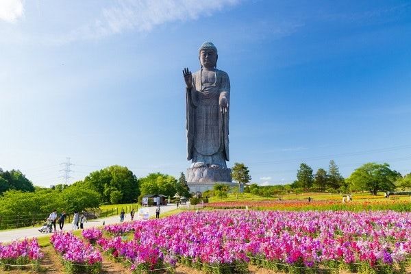 ushiku-daibutsu